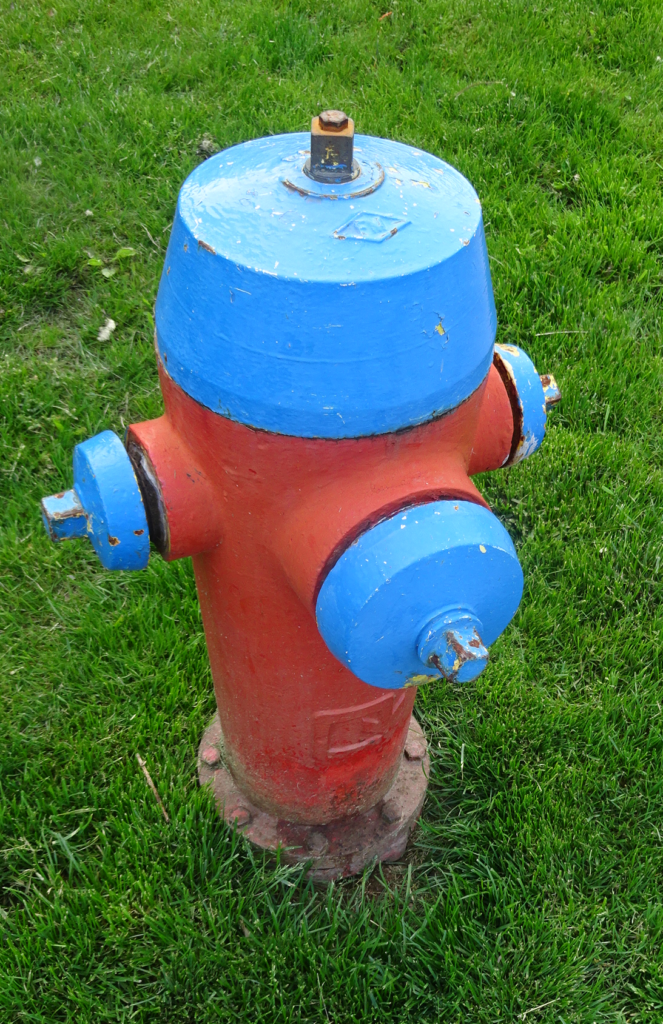 Reader wants to know why fire hydrants are different colours Fire chief tells us all