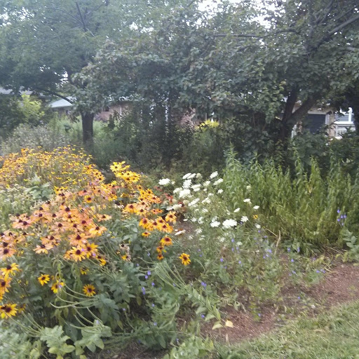 City Of Burlington Threatens Naturalized Gardens Part 2