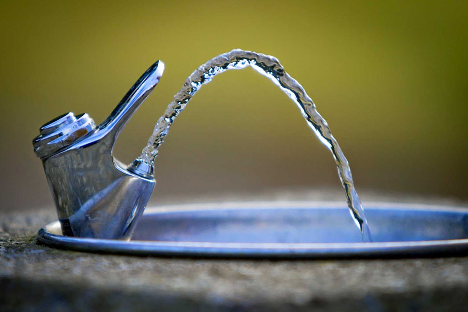 Concerns over the quality of the drinking water at local schools are