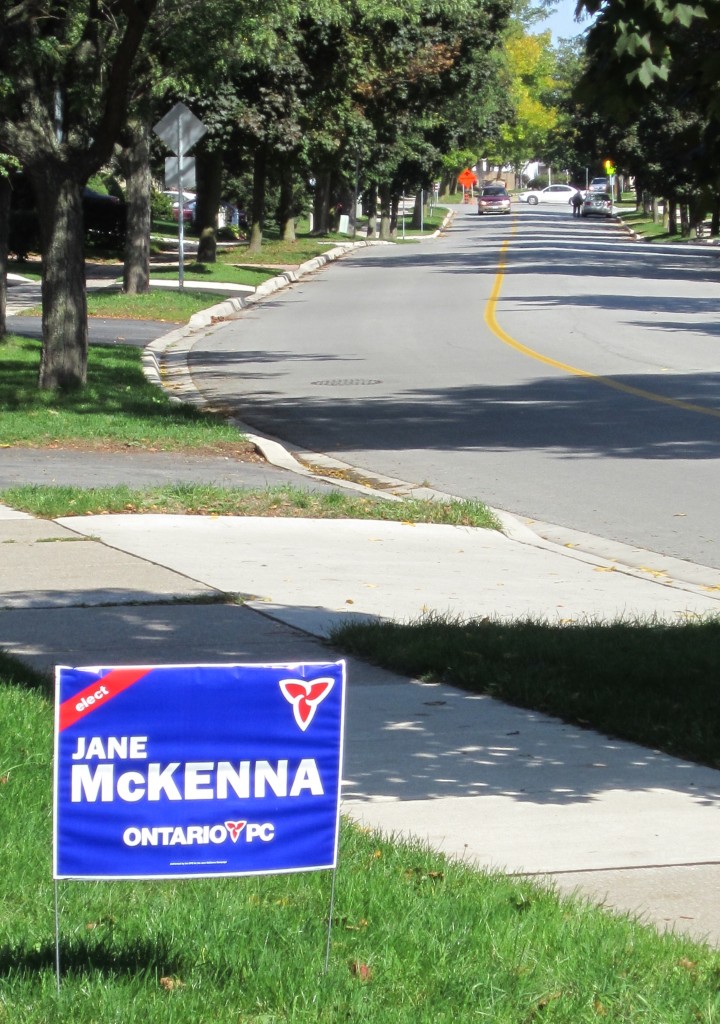 Is Jane McKenna really prepared to vote the government out of office and go to the polls again? Maybe she has some election signs she didn't use last tine.