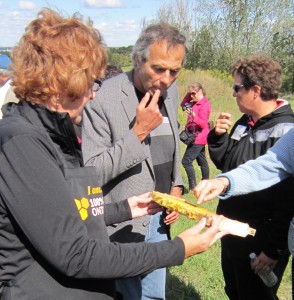 Regional chair Gary Carr tasting honey on a farm tour. These days he is tasting the mood of the residents; wants to know rthat they are thinking.