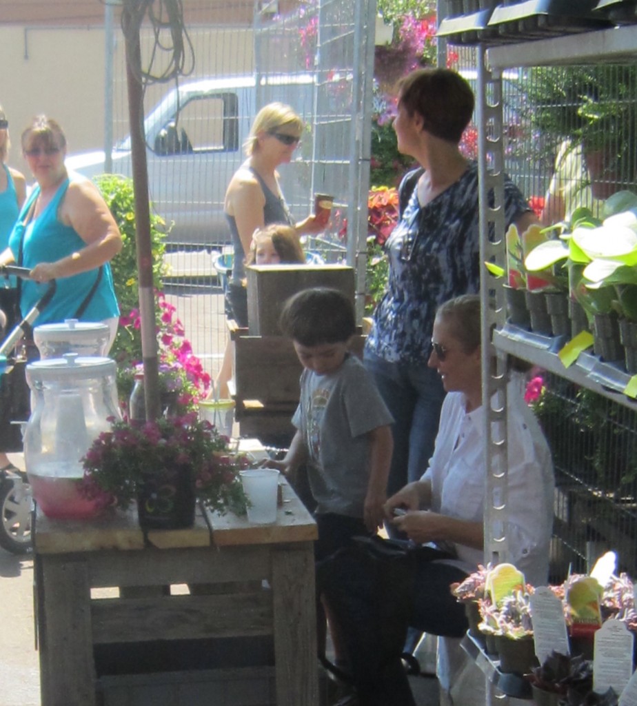 Centre Market lemonade Stand