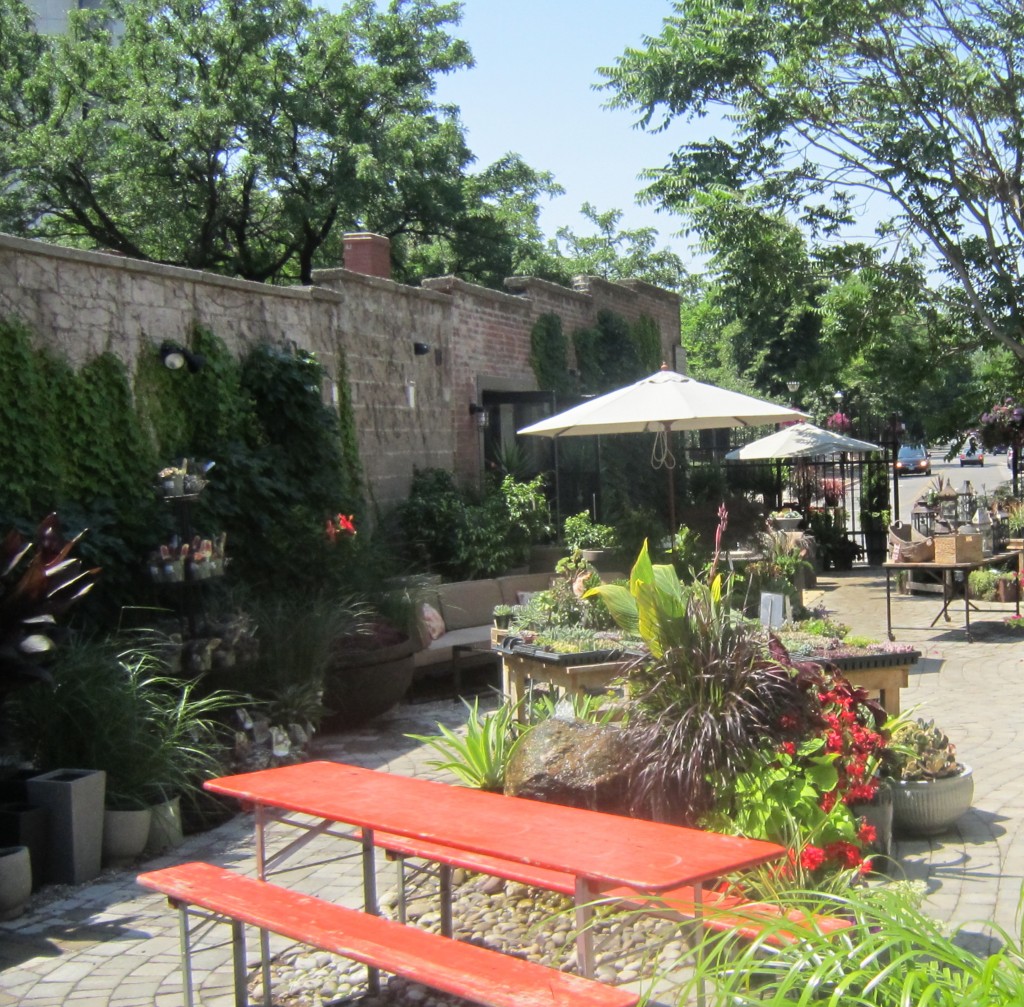 Centro Gardens - dinner space
