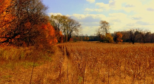Photo 4.