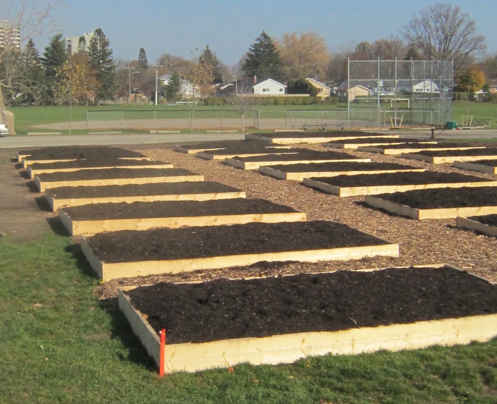 The Community garden lots were laid out waiting for clients with seeds. The season turned out to be abundant both for garden lot users and BurlingtonGreen. A second Community Garden in 2013 elsewhere in the city?