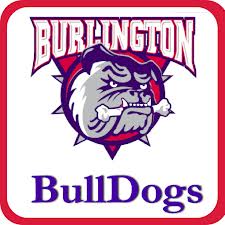 Bulldog logo with square