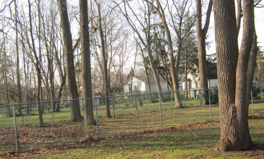 Ghent - well treed lots