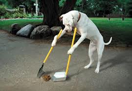 Pooper scooper