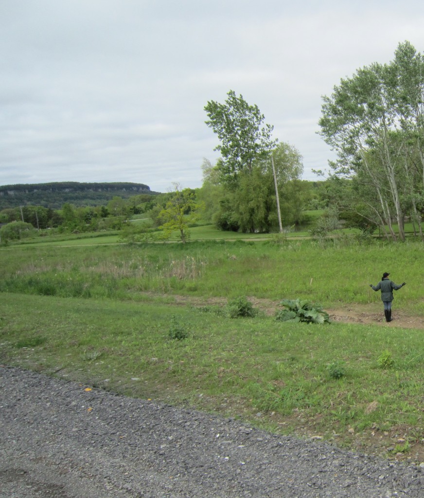 Air Park in gully between air field and her property