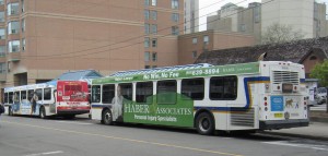 Haber and Associates have been aggressive advertisers using the space on city buses for public exposure.