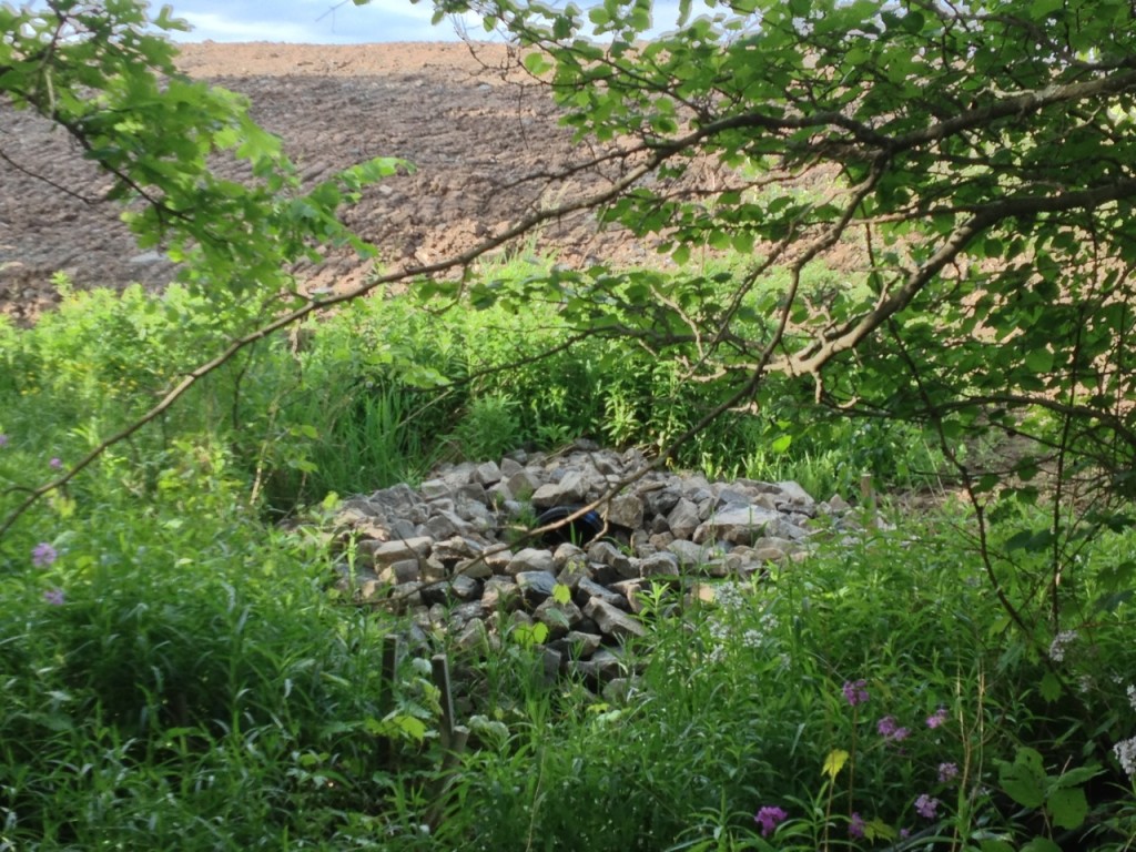 Cousins south corner 2 landfill behind - culvert in front