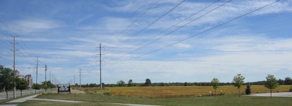 Upper Middle Road looking east towards Burloak - primer commercial.  No takers?