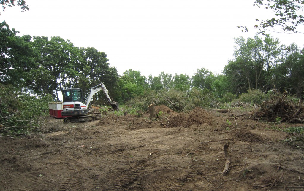 City iew maintenance stumping
