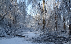 The cost of cleaning up this kind of storm damage is more than the municipal tax base can bear. Municipalities look to province and federal government for financial support.