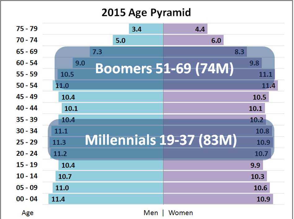 Age pyramid 2015