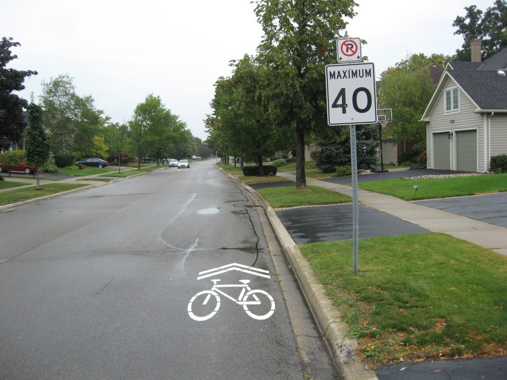 Markings identifying portions of the street intended for cyclists.