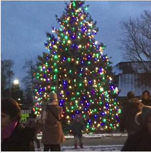 Aldershot tree 2