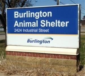 Animal shelter