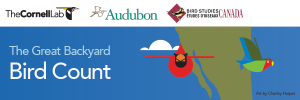 Bird Count logo 2015