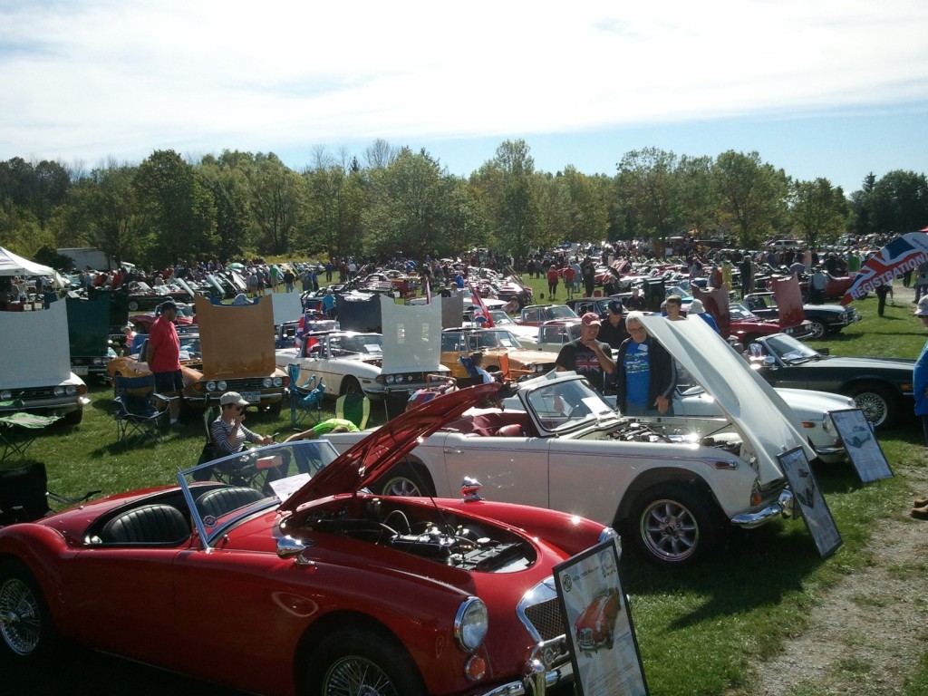 Brit cars - in rows
