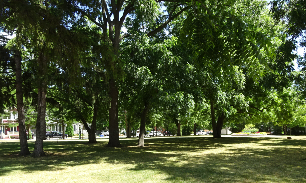 Brock Park from the north