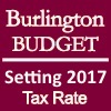 Budget 2017 ICON aa