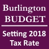 Budget 2018 ICON