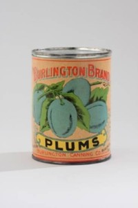 Burlington Brand cans - plums