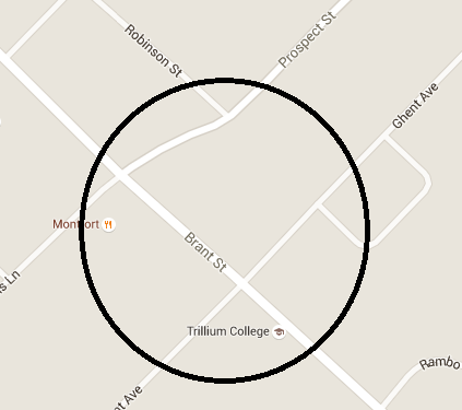 Circle of opportunity - Brant Street