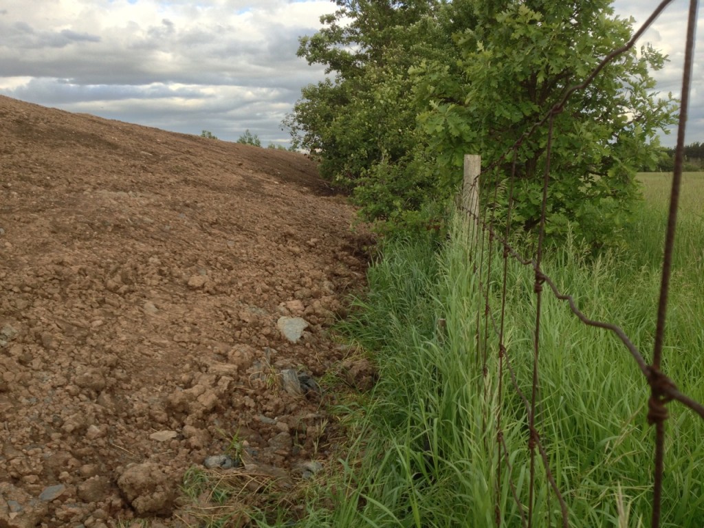 Cousins fence line