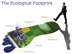 Ecological footpint