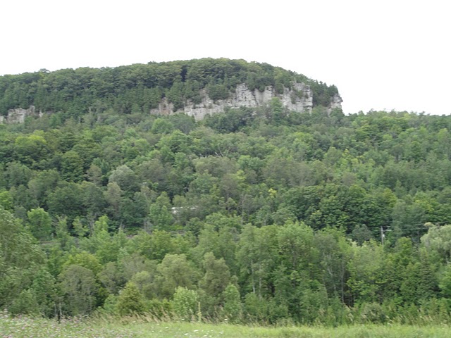 Escarpment in the summer - green green