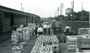 Farmers do the loading - station platform with fruit