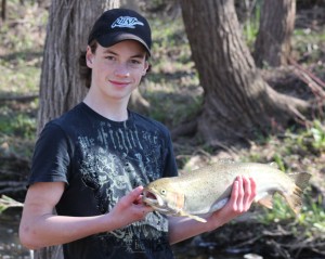 Fish from Sheldon creek