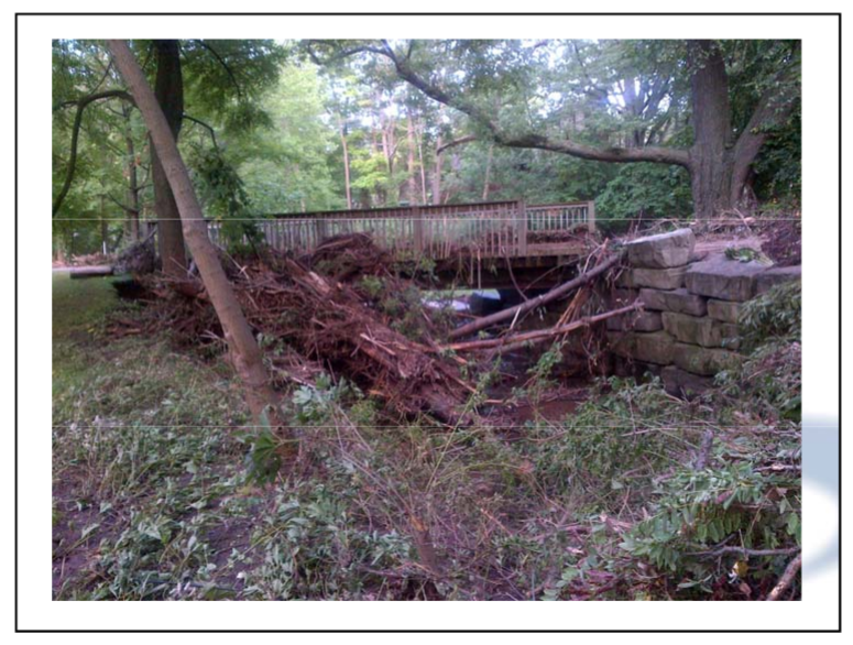 Flood presentation - damage to the creeks - water flow