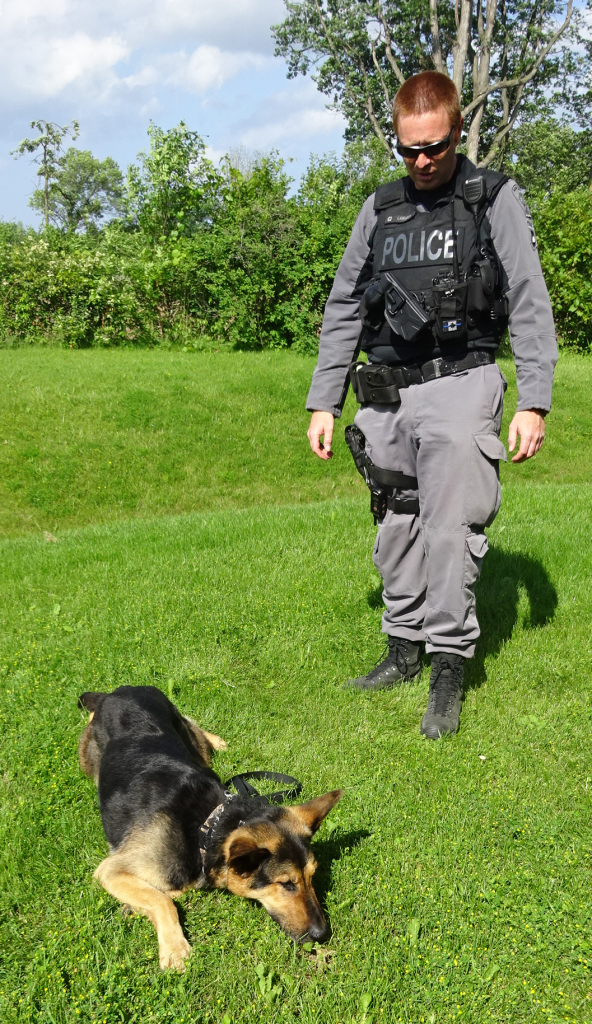 HRPS Storm sniffing