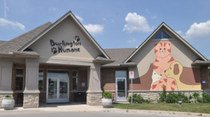 Humane Society Burlington