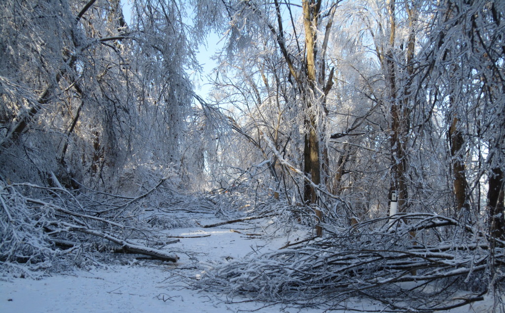 ICE STORM Millar road closed