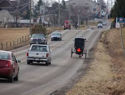 Mennonite buggy 2