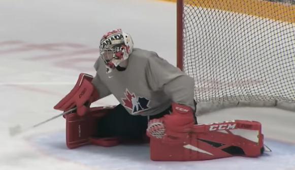 Net minder 2