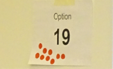 Option 19 short