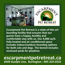 PETRETREAT V2_Page_2