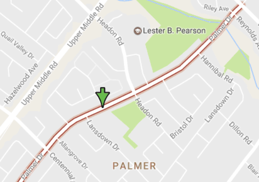 Palmer Drive - graphic