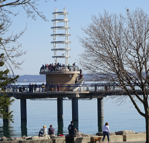 People on pier between trees