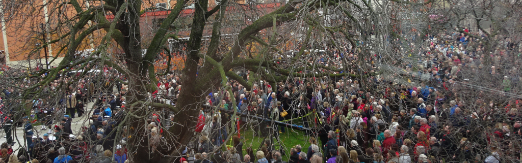 Remembrance - crowd