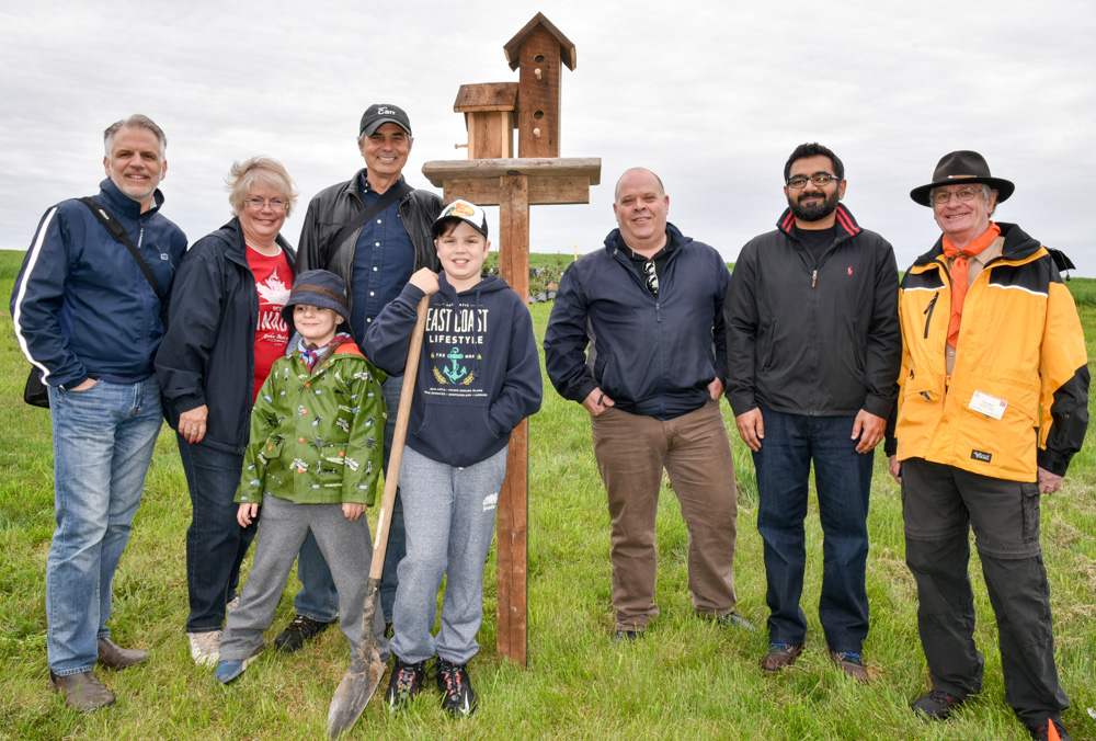 Scouts planing trees on regional land