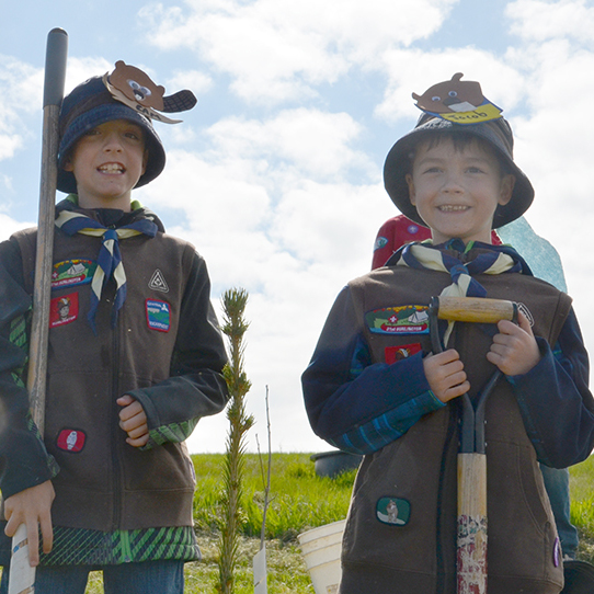 Scouts - tree planting