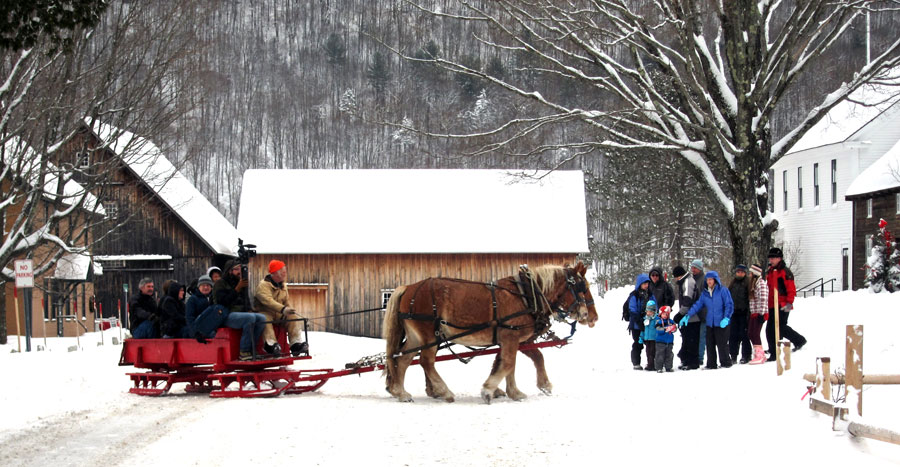 sleigh-horse-pulled
