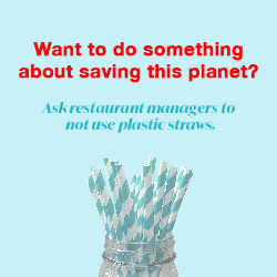 Stop using straws