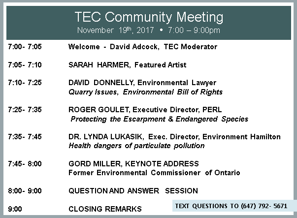 TEC Nov 16 the agenda